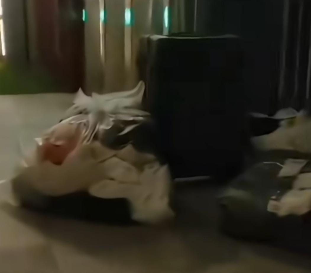 女子深夜被老公赶出家门，几个月的孩子放在地上没人管，别着急声讨这个男人，他也有他