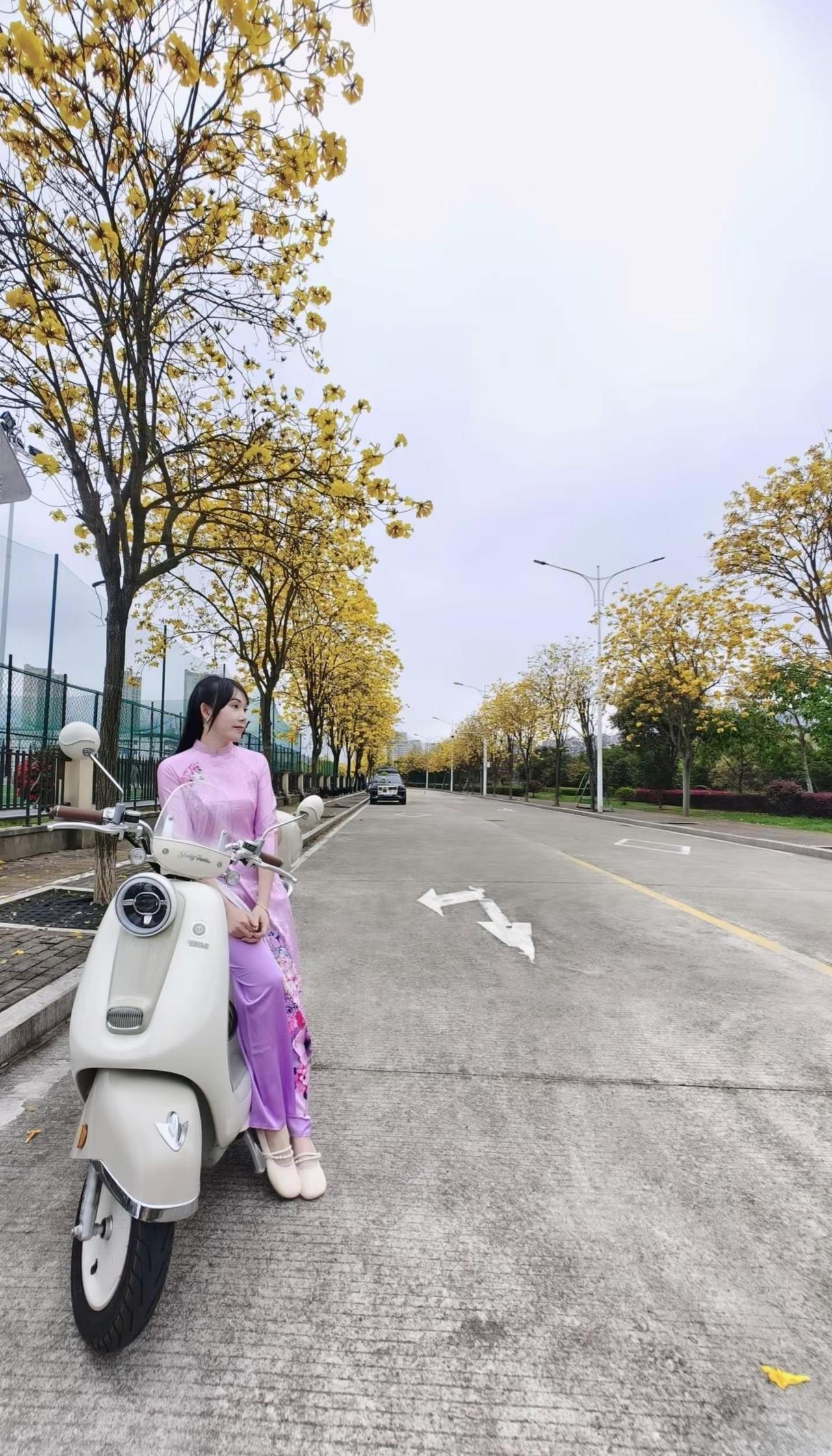 你在北方那边天气还在下雪吗？我们南方春暖花开了呀!快过来看花开了宁德体育中心