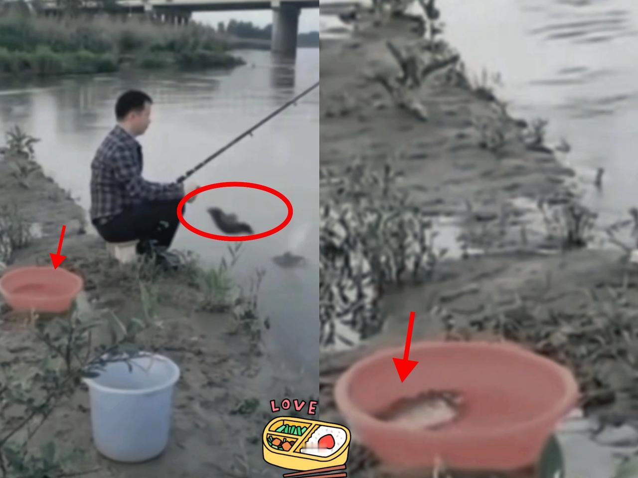 这运气也太好了吧！刷到一男子在江边钓鱼，蹲了整整半天，鱼竿动都没动一下，烟抽