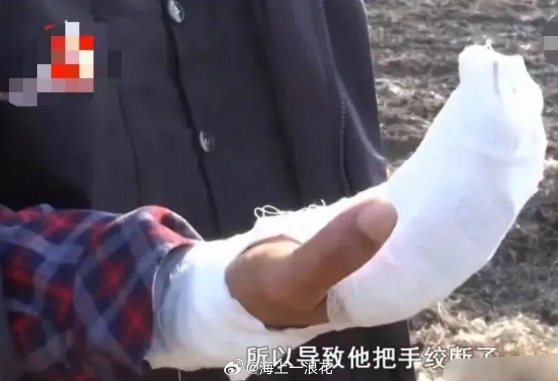 #河北某地哄抢秋花生#廊坊30亩花生被抢，农户阻拦致残。这不仅是贪念，更是对法治底线的践踏。秋收本是