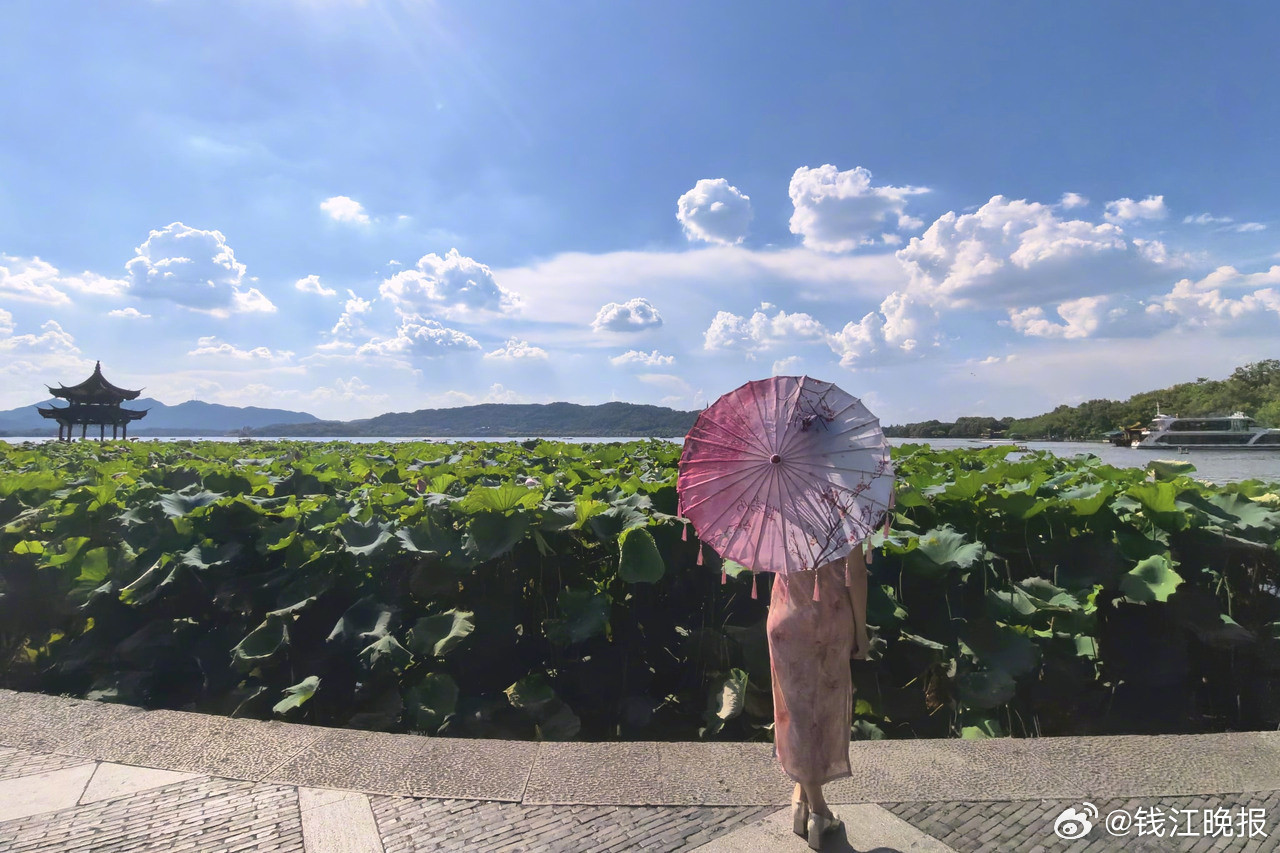 【#杭州气象台回应不敢报40℃#】今天8月开场，一大早阳光就热辣灼人。由于副热带