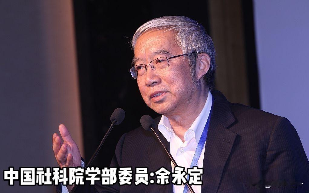 余永定算了一笔账：中央杠杆率30.5%，地方40.4%，这局怎么破去年花了7