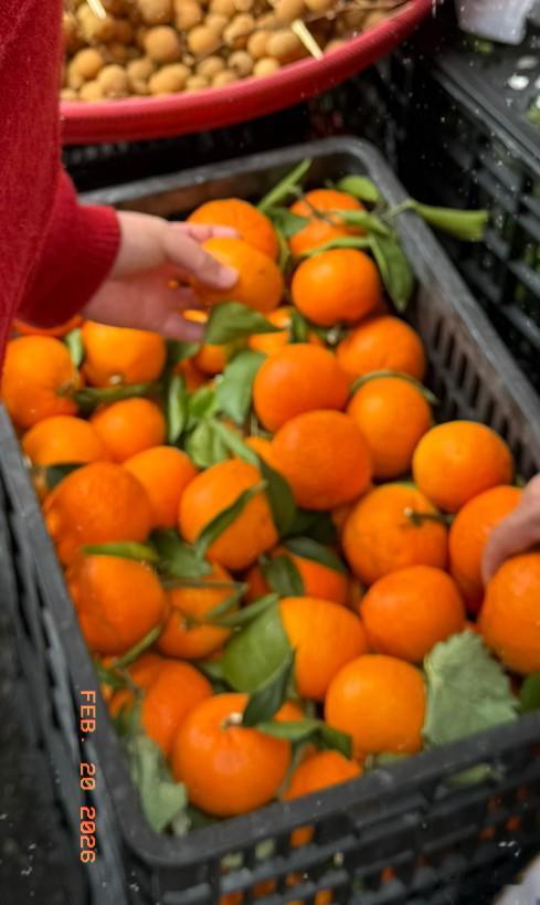 昨天拜年发现了一个现象，水果是这边农村拜年必备的一个礼品之一。但是，不同的购买方