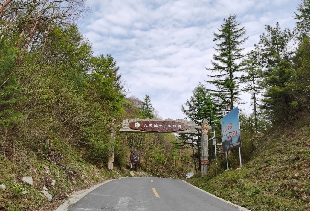 太白县至黄柏塬的太洋公路长约60多公里，是一条旅游线路，它穿梭于秦岭之中，是我所