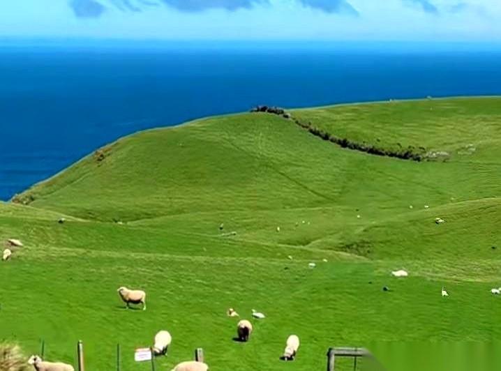 想搞懂什么叫“物理劝退”，你得看看新西兰的地图。一个将军摊开世界地图，想找个软