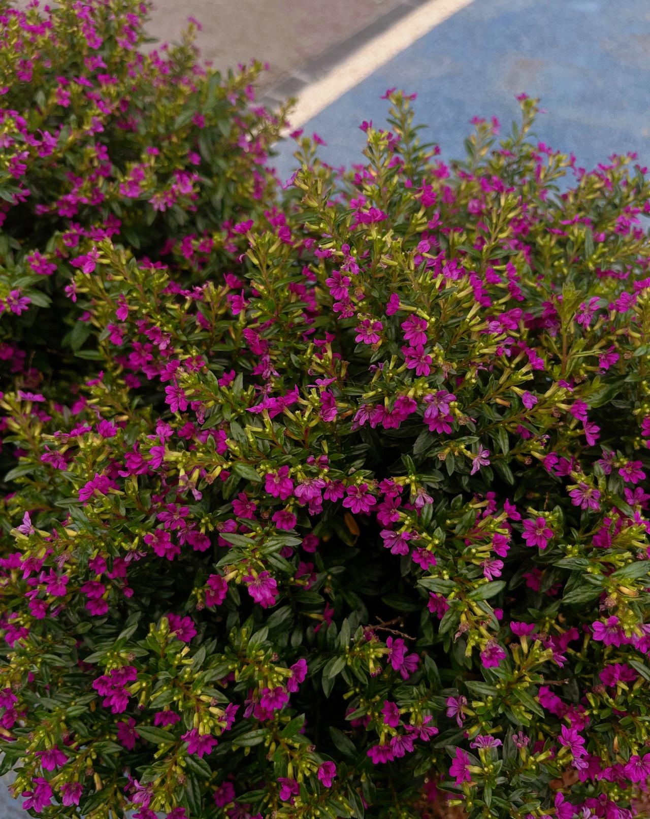 ：）曾仕强老先生说：“翻遍历史，你会发现，。好人未必有好报，坏人也没有恶报；大