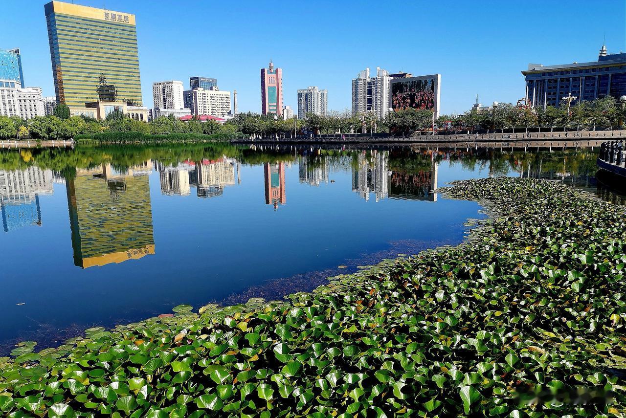 南湖公园四季掠影（十）夏季景色：