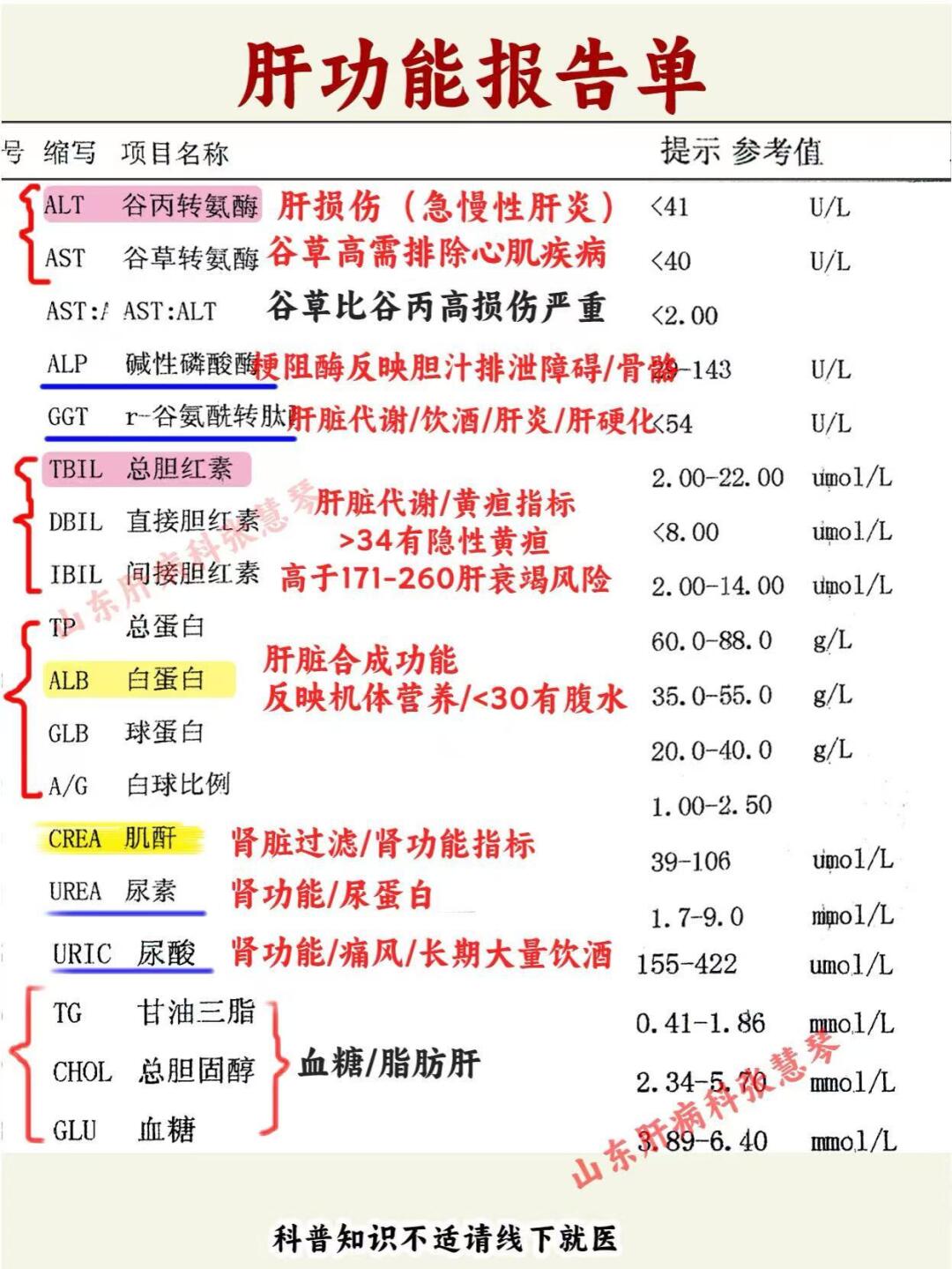 肝功能报告单就要这样看！