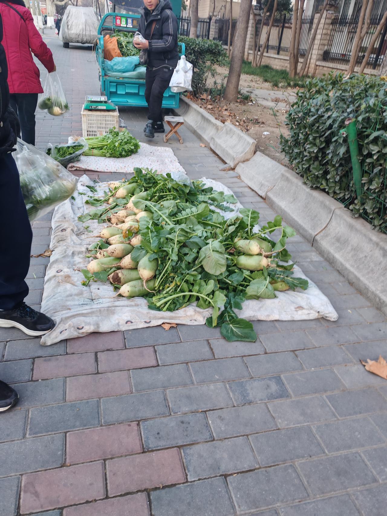这些才是冬季好菜1月9日，坐标西安。这是我刚才上班路上抓拍到的几张图片，十年媳