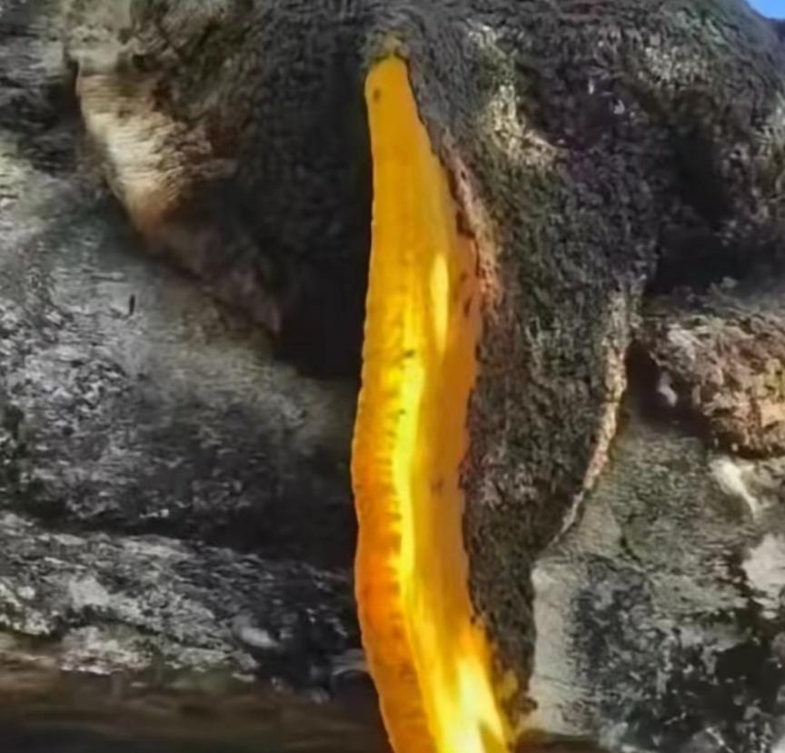 江西48岁男子上山拍照，休息时突然看见石缝流出金黄色液体，走近一看当场愣住：山里