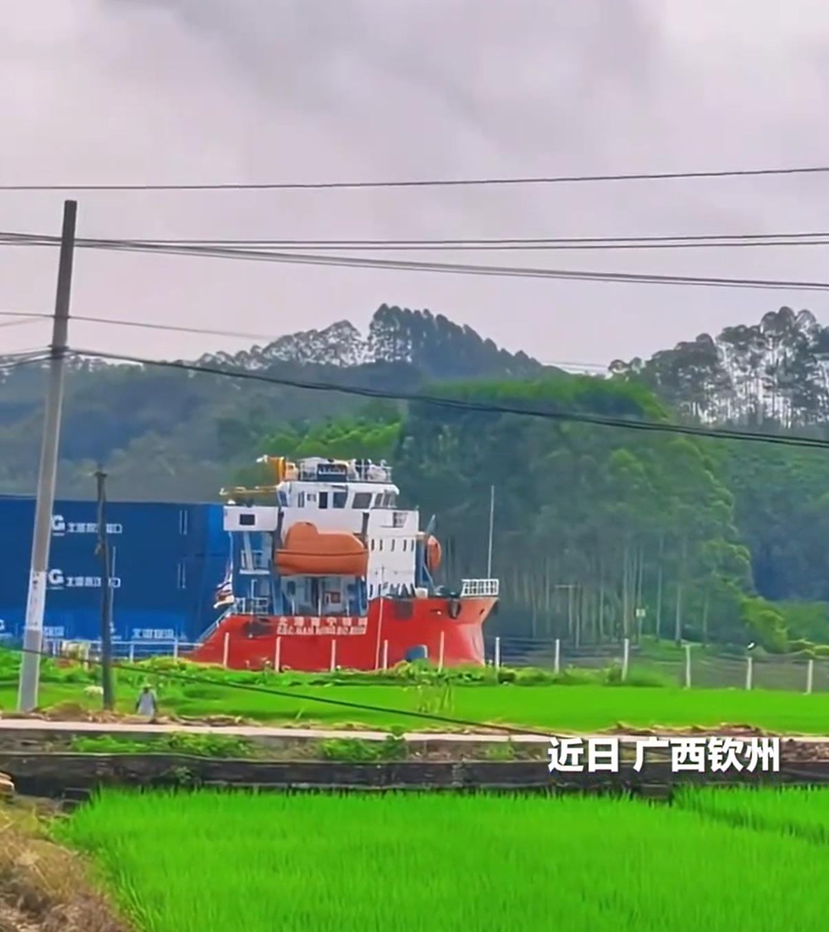 稻田里驶出大货轮。这也太震撼了，也太奇幻了。估计，只有我们能创造这么美景。