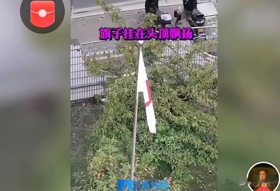 刷到网友发的视频，我当场就来气了！是谁给的胆子，让那面破旗子堂而皇之飘在咱们中华
