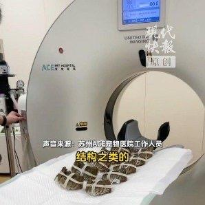 最近苏州有家宠物医院火了，不是因为治好了什么疑难杂症，而是因为他们用给宠物做检查