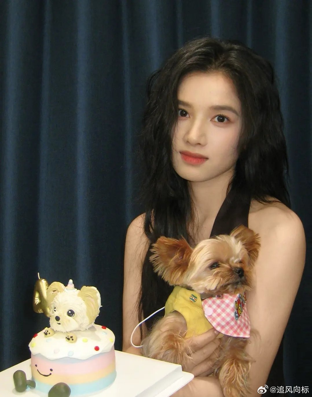 狗狗看毛发光泽好好，张婧仪养的很用心了