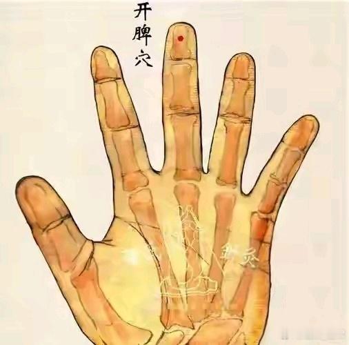 开脾穴—调理脾胃功能,通中焦穴位定位与取穴方法开脾穴位于手掌面,中指第三节正中央