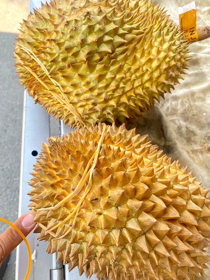 中午，一只榴莲从婆婆手里去了在附近上班的女儿那儿；晚上，儿媳下班清点，少了一个，