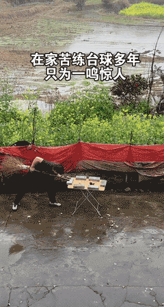 在家苦练台球多年终于做到了一鸣惊人！
