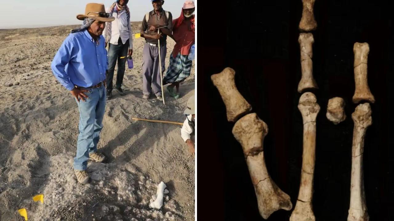 1. 科学家发现350万年前地球上曾存在两种不同人类物种：2025年11月，亚利