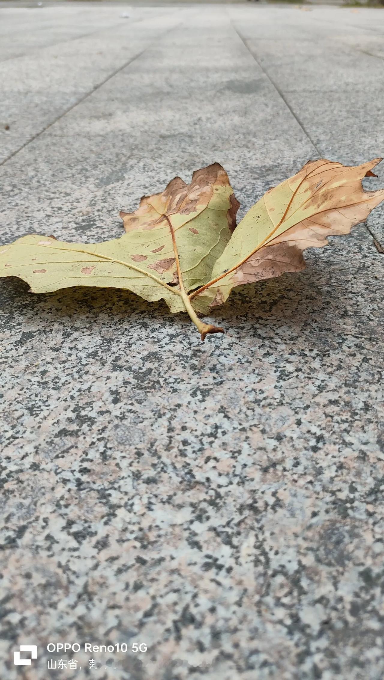 不当高中老师了，发现高中老师越来越轻松了。不当高中老师了，发现还有之前没退的一