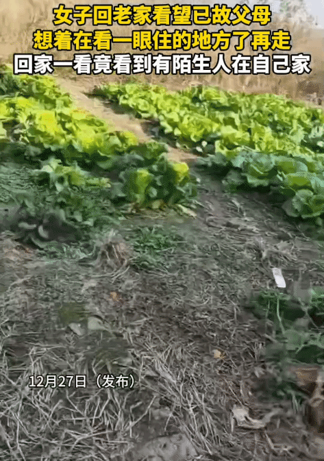 女子的父母不在了，她回老家上坟，突然发现家里竟有陌生人住。她一问，对方告诉她，是