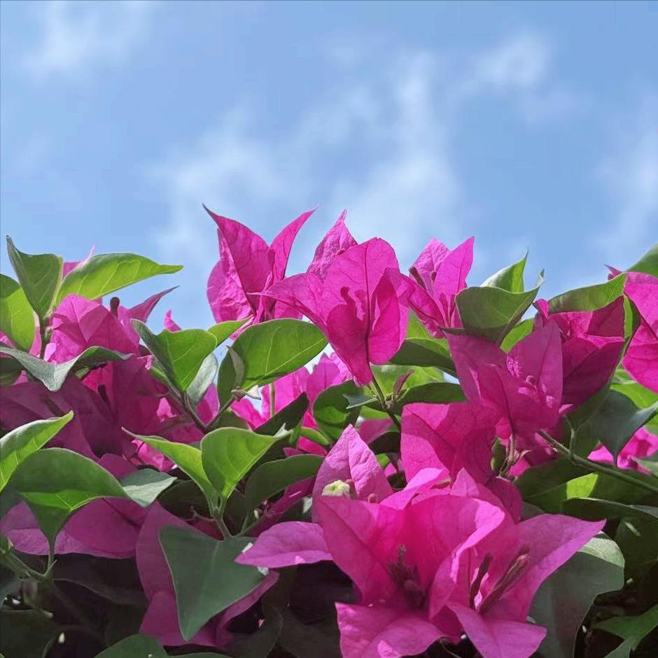 甘孜迎来新的政府主要负责同志 4月1日，今年54岁的杨宏寿履新该地。 该