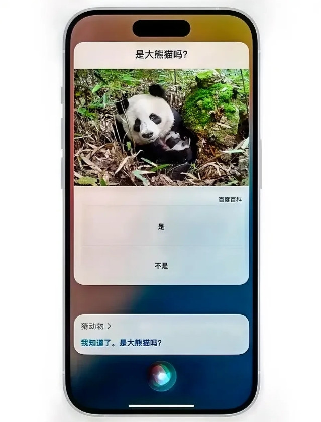 苹果11升级3天了，很多人在评论区问我升级之后会不会卡，掉电快不快？以我这几天的