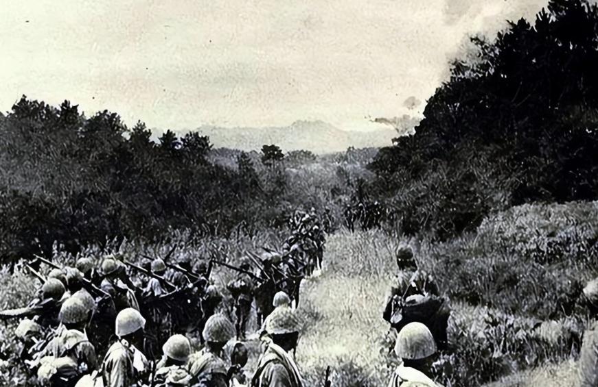 1945年春，豫西南的伏牛山腹地，一场决定战局的硬仗悄然打响。3000装备精良的