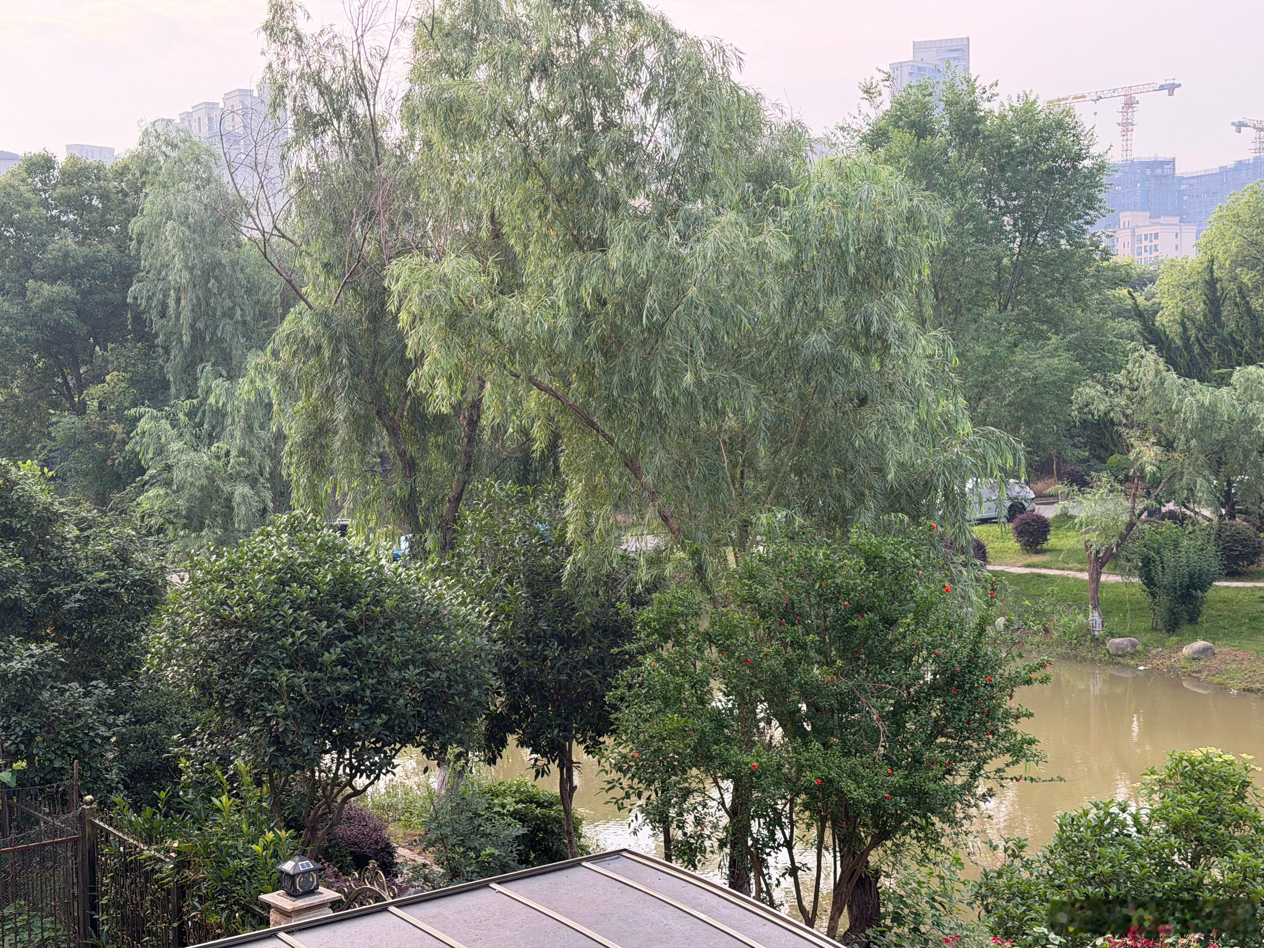 不得不说，这个蓝色是真显眼。在楼上，隔着大树都能看到我的车。新一代su7
