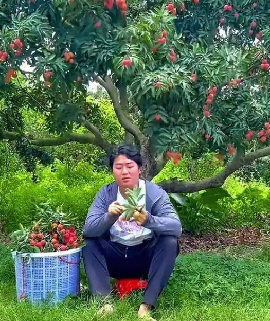 全红婵回乡：哥哥谢绝蹭热度，背后是对亲情的坚守