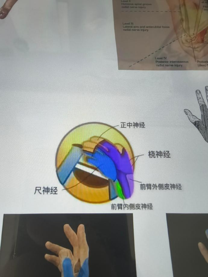 医学生不许发这个黄脸[捂脸哭]​​​