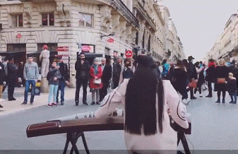 中国文化在国外大爆发，中式英语，中国歌，中国汉语教学，甚至广场舞，这背后承载中国