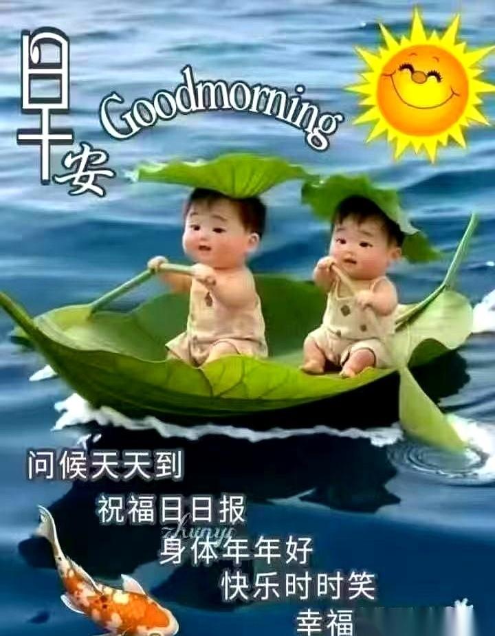 推开单元门的瞬间，我怀疑自己一头扎进了空气炸锅。才早上八点，柏油路面烫得简直能