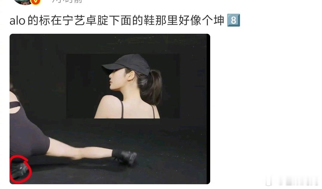 顺着宁宁点名的黑粉看了下主页，日常就是外表羞辱，带颜色的造谣，连品牌logo都联