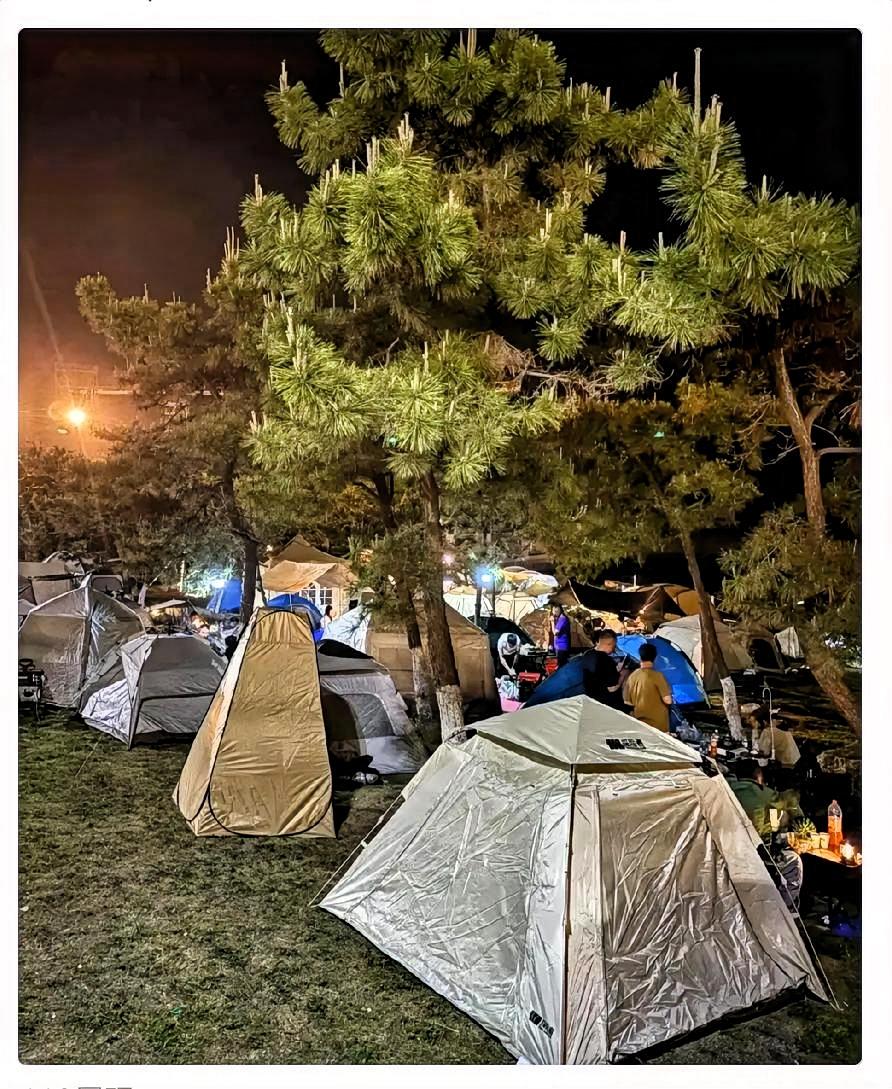 这次十一长假！捧红了一个新行业！当你去景点人山人海，被酒店