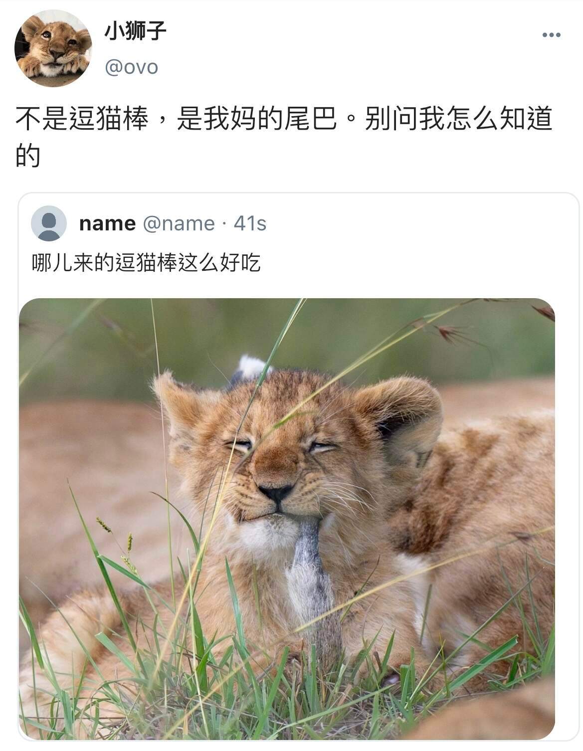 假如小动物会上网belike：