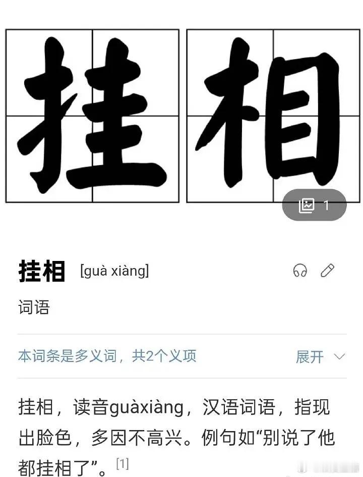 孟子义怎么老喜欢用挂相这种贬义词啊
