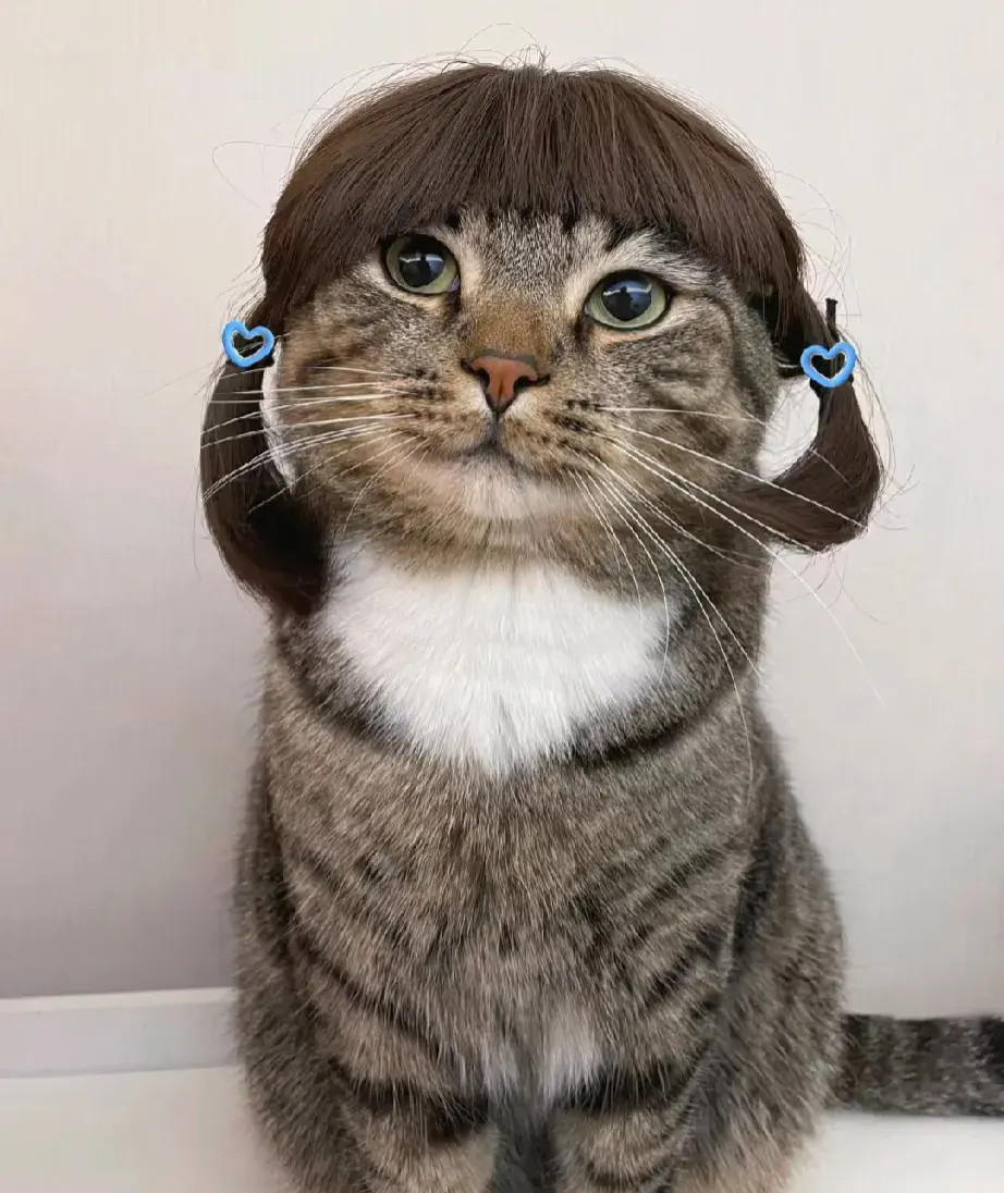 你们说哪个发型最好看[捂脸哭][捂脸哭]