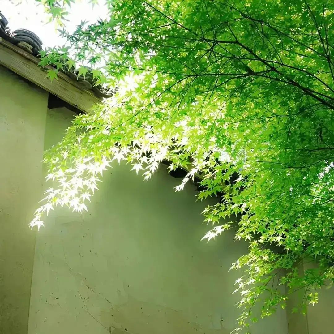 顶级父母，核心就是俩字：不期待。很多家庭因为作业闹得鸡飞狗跳，父母焦虑失眠，孩子