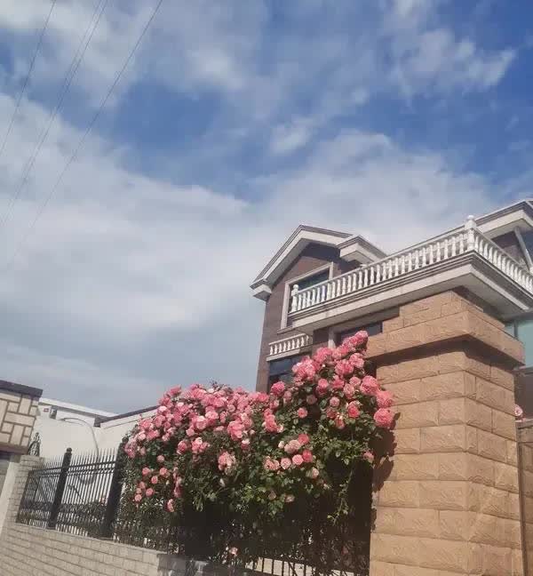 我们小区有一位四十多岁的男性，突然失踪了。都好几个月了，马上就半年了，却一点