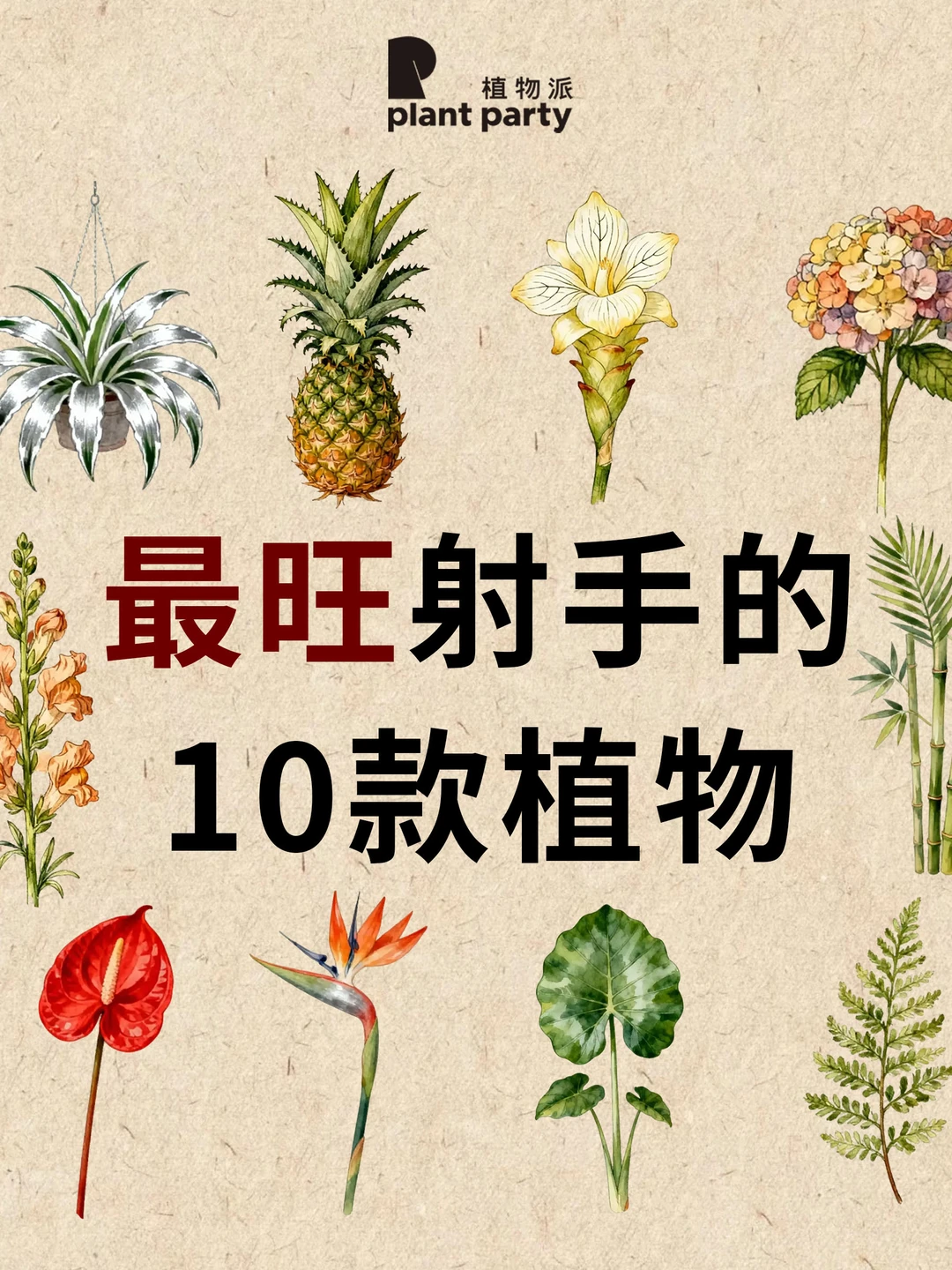 射手座一生最旺天选植物💰旺到发光