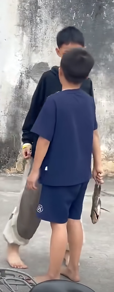 就是你说我哥是臭卖鱼的对吧？