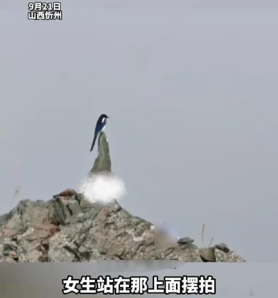 “太奇妙了！”福建游客来山西旅游，拍照，没想到拍到限定的“古风美女”。他走近一看