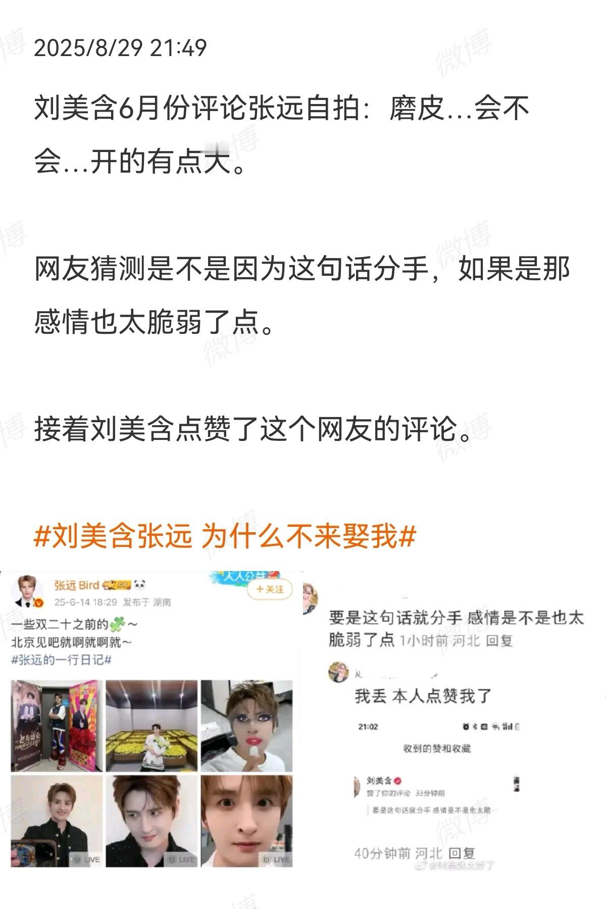 刘美含张远男人至死是少年​​​