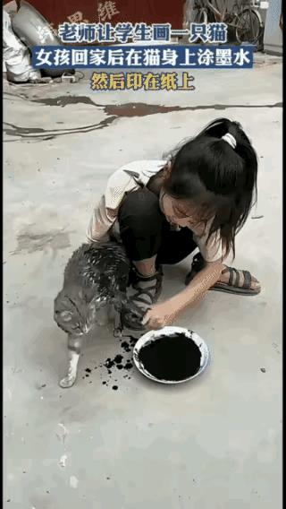 真的很想知道，这小女孩到底是用的什么方法，能让自己家的猫这么听话的，配合着她画猫