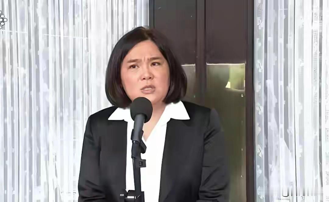 利空接连砸场！蓝营翻盘希望全压高雄一战？最近国民党的选情真是冰火两重天，糟心