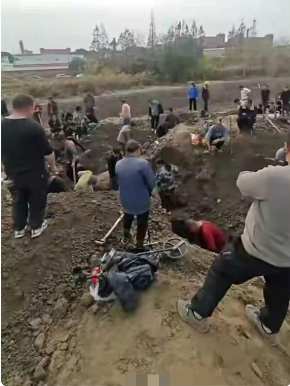 上海市民扎堆挖银元。好家伙！都是工兵铲、探测仪，装备齐全啊！我突然有个比偷甘蔗更