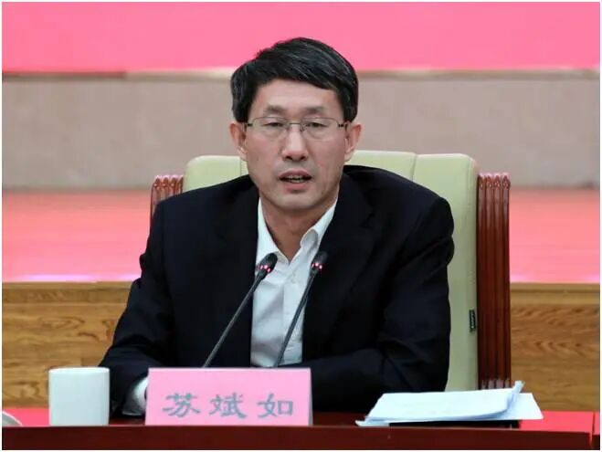 首次披露: 苏斌如, 已落马