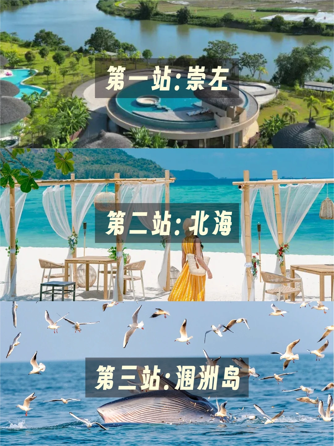 春节反向游！来崇左+北海+涠洲岛23℃过暖冬
