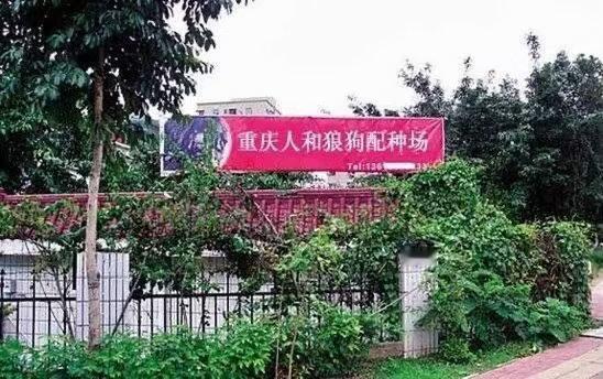 6082人和。。是个。。地名。。​​​