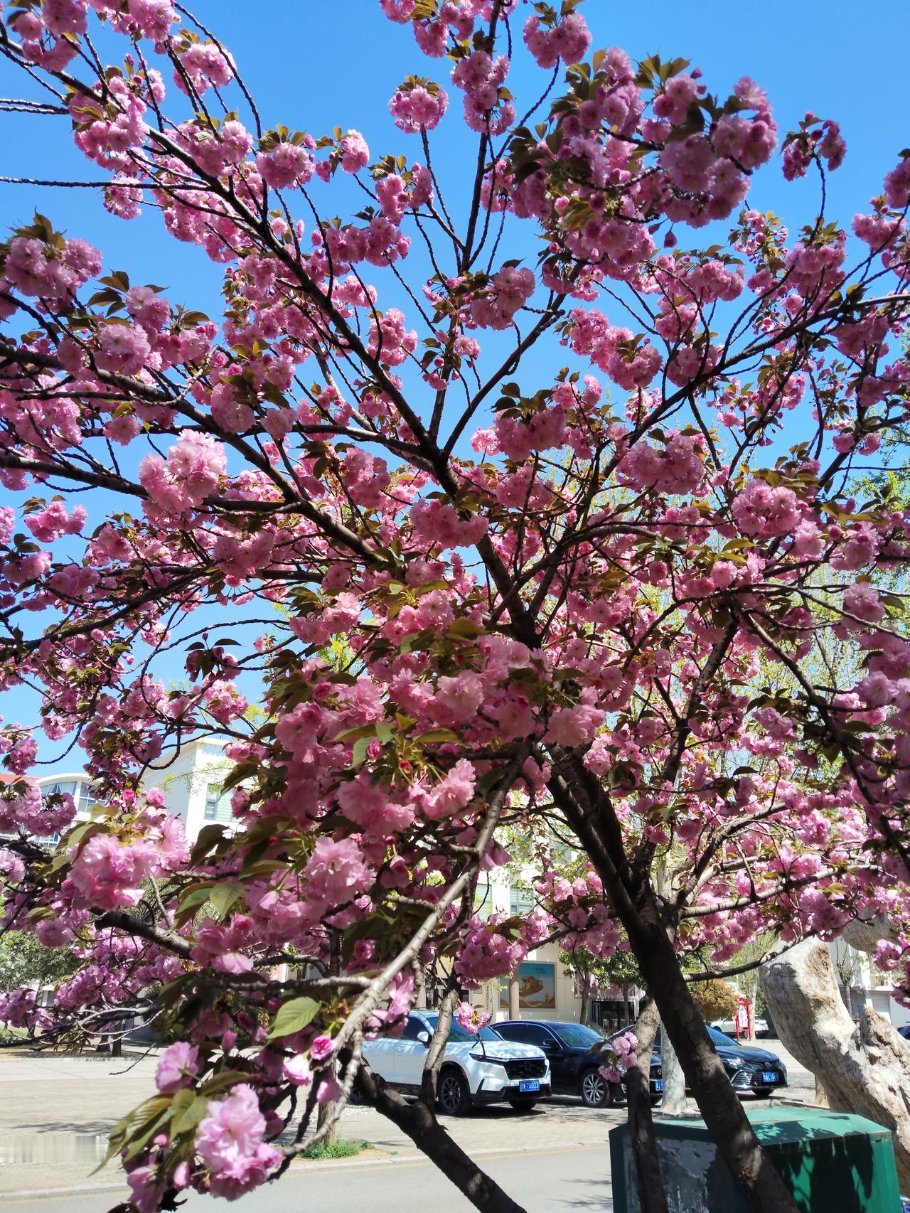 我的女儿曾经遇到过这样一位同事。这位女同事家是东北，她研究生毕业，在南方一家医院